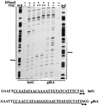 FIG. 5