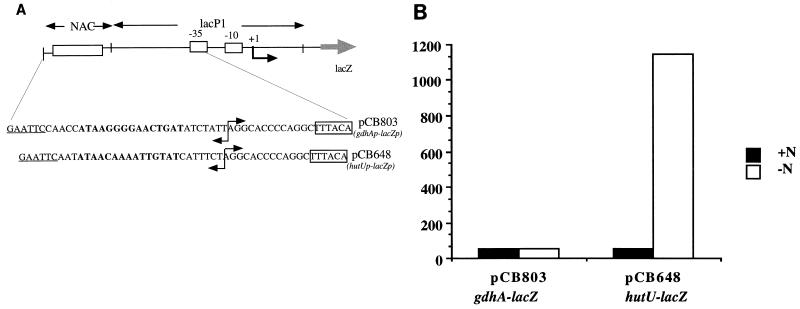 FIG. 3