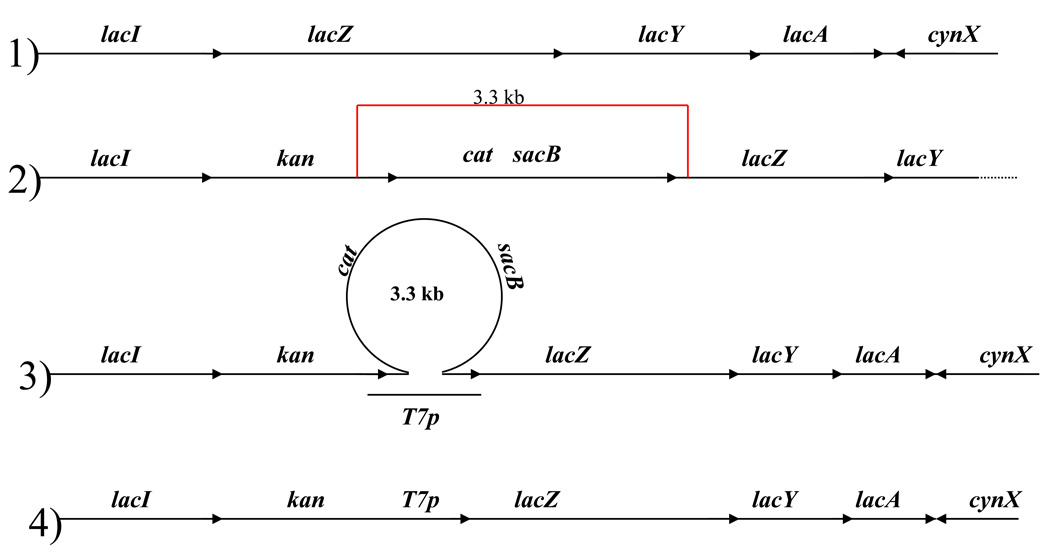 Fig 1