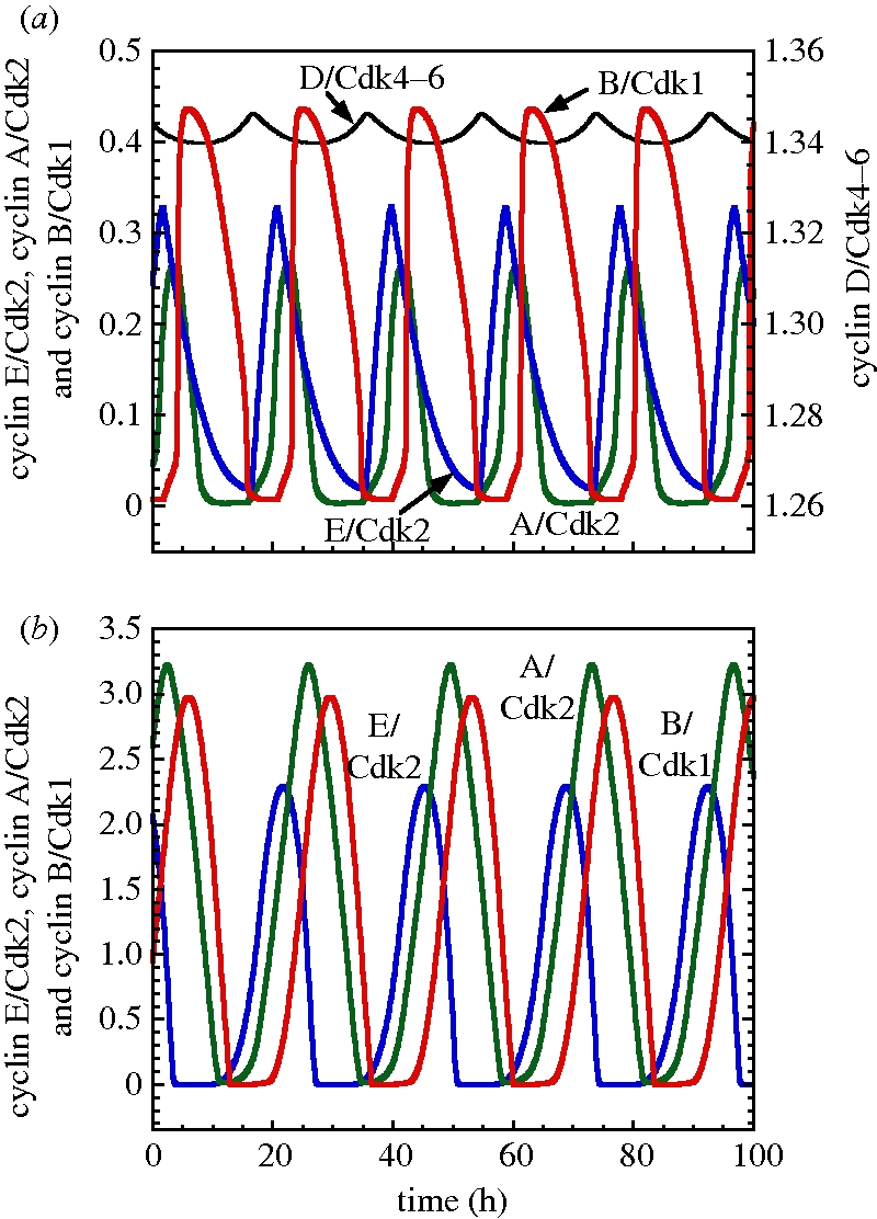 Figure 4.