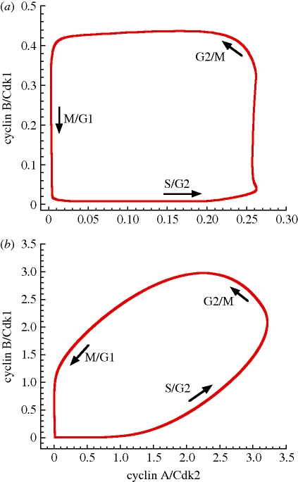 Figure 5.