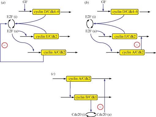 Figure 6.