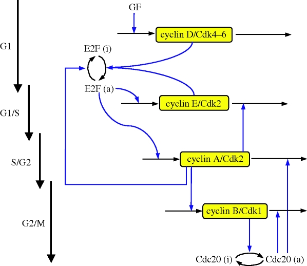 Figure 1.