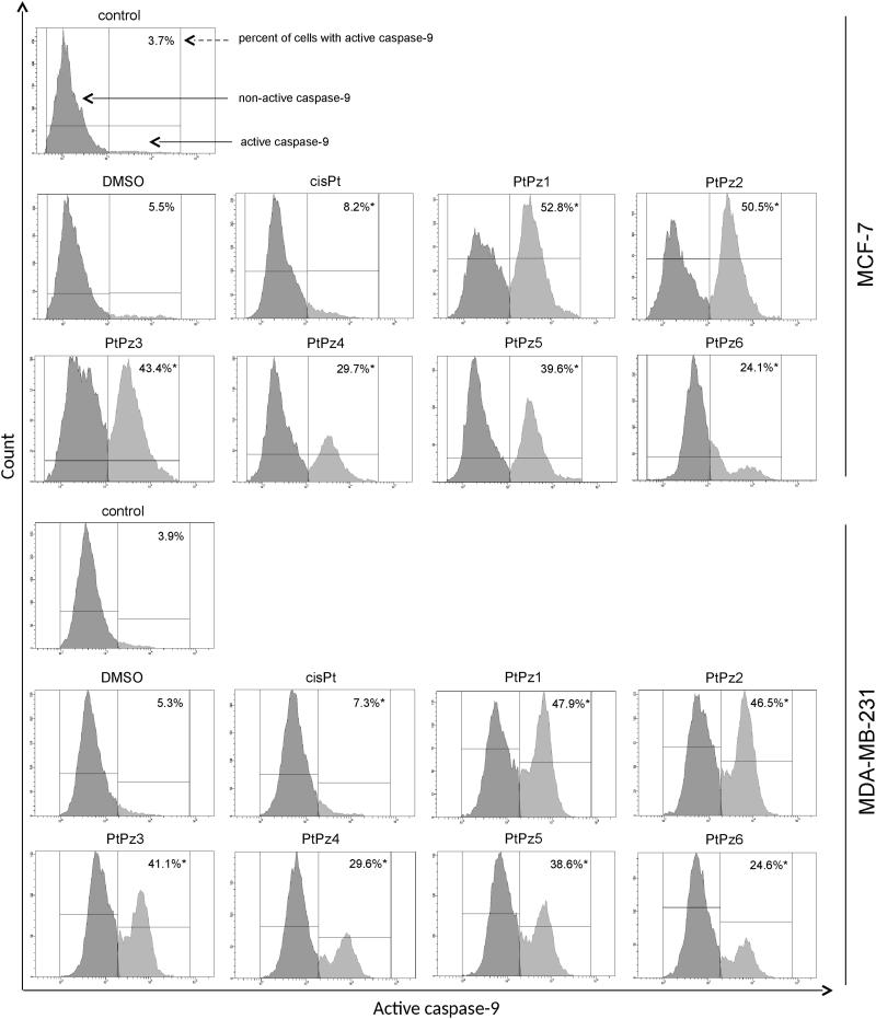 Figure 13.