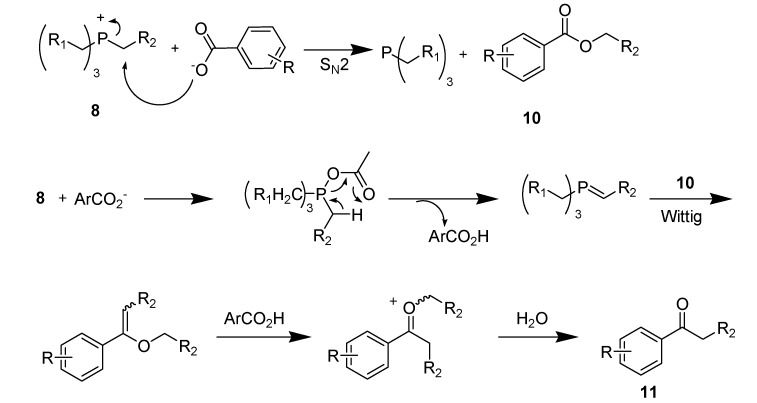 Scheme 22