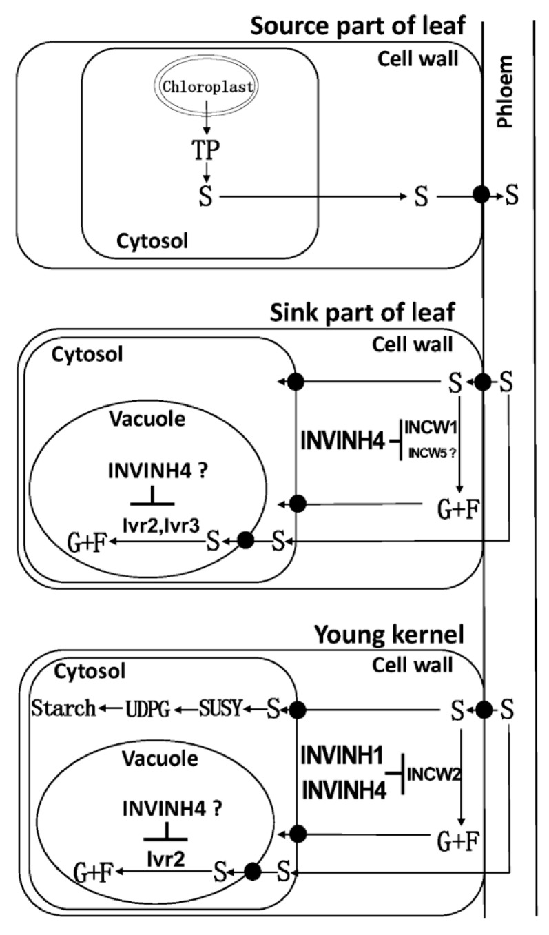 Figure 14