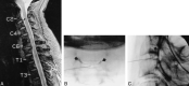 <sc>fig</sc> 4.