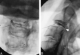 <sc>fig</sc> 5.