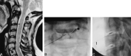 <sc>fig</sc> 3.