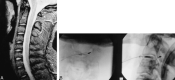 <sc>fig</sc> 1.