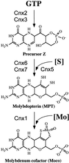 Figure 1.