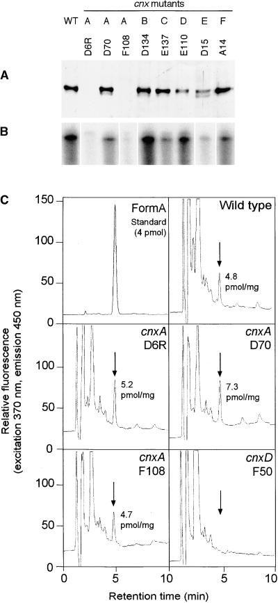 Figure 5.