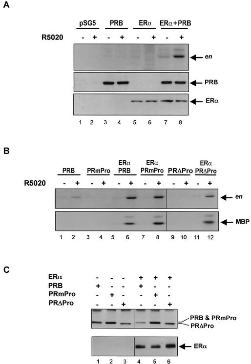 FIG. 8.