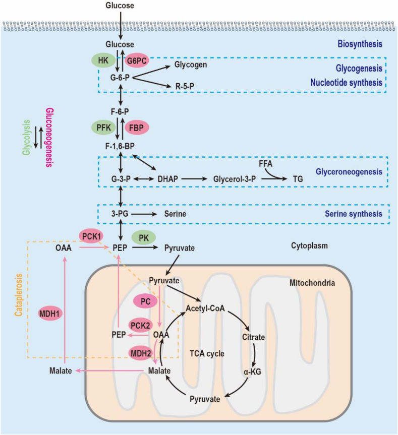 Figure 3