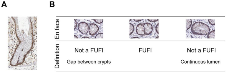 Supplementary Figure 6