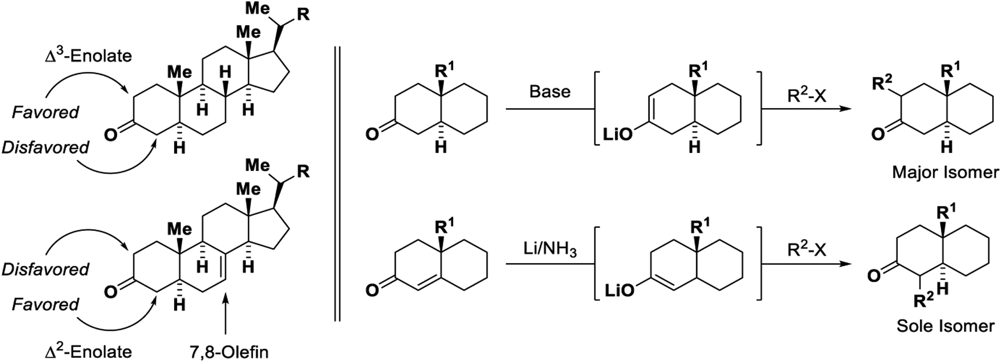 Scheme 1.