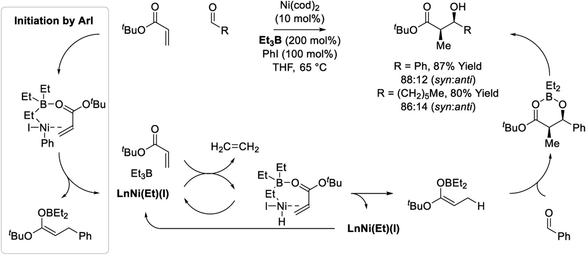 Scheme 24.