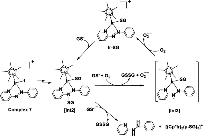 Fig. 12