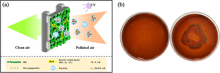 Fig. 26