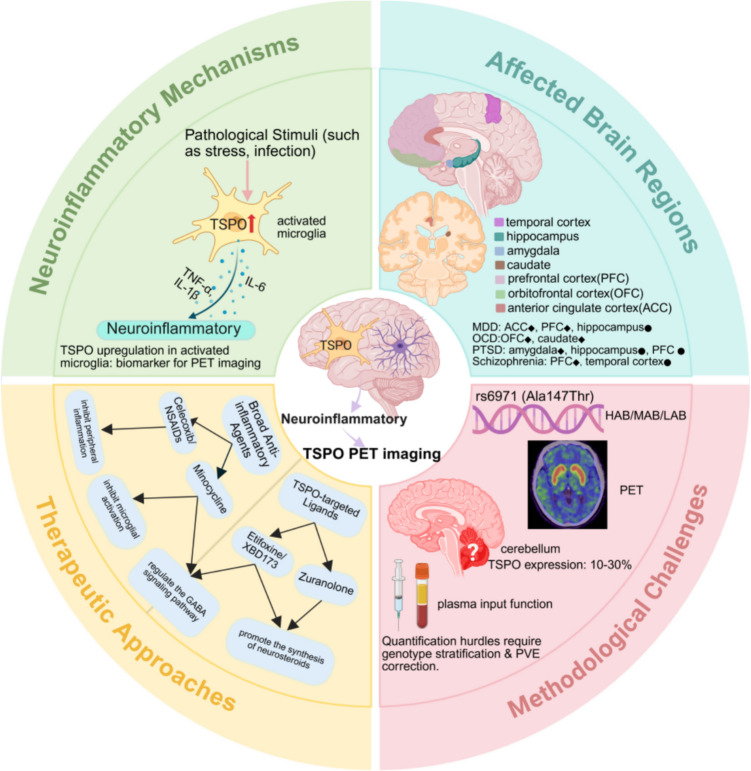 graphic file with name 12035_2025_5177_Figa_HTML.jpg