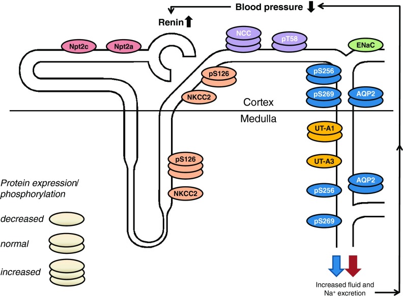 Fig. 1.