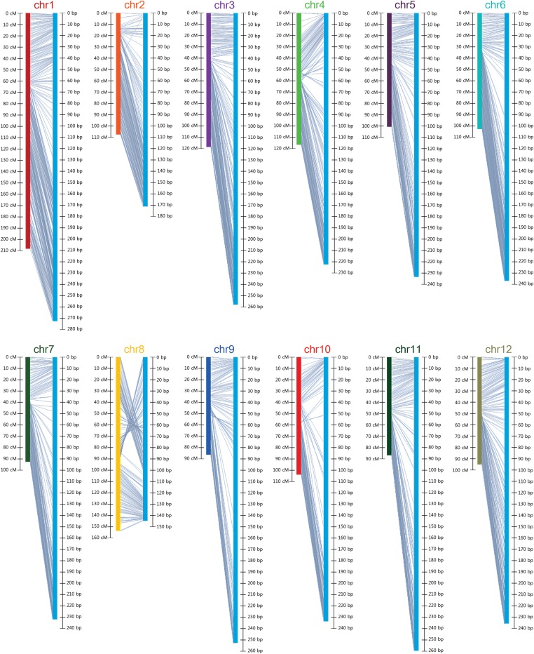 Figure 2.