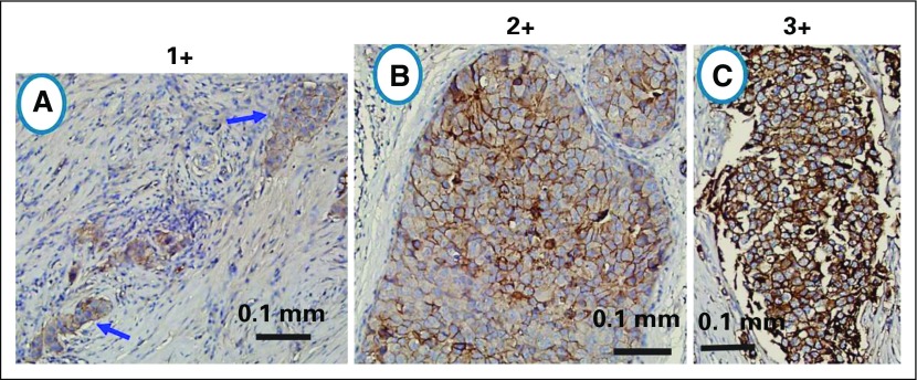 Fig A1.