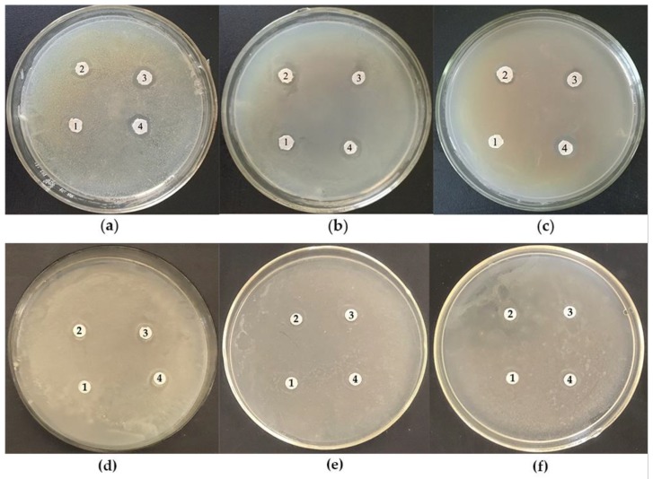 Figure 12