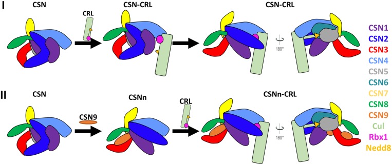 Fig. 6.