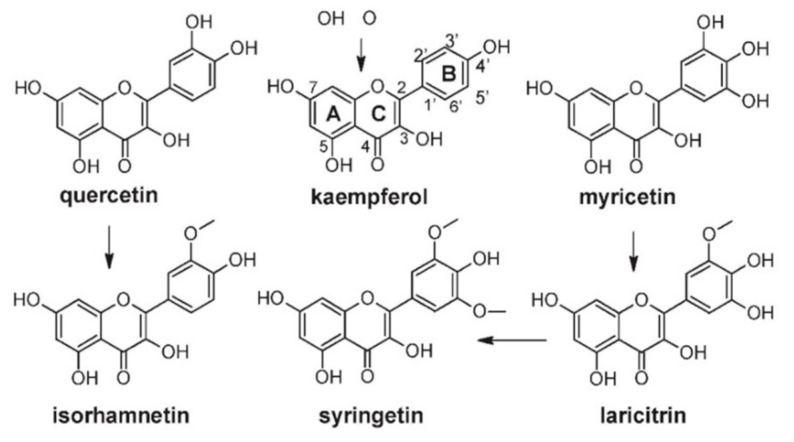 Figure 5