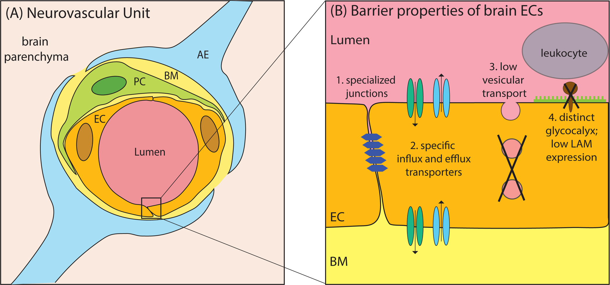 Figure 1 –