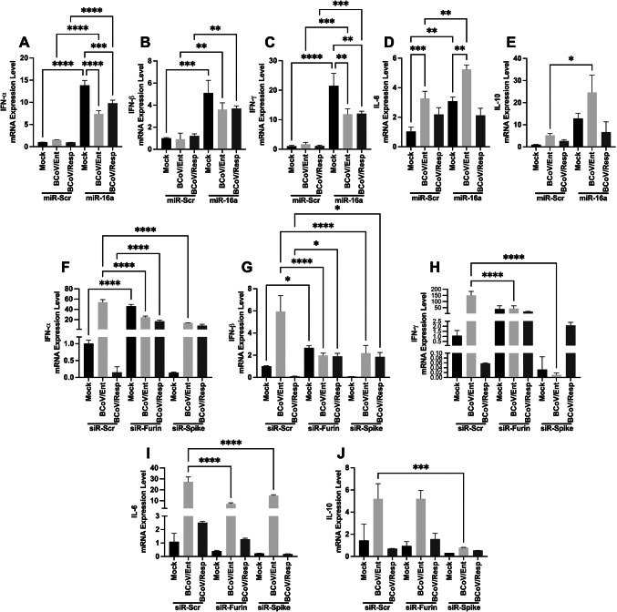 Fig. 11