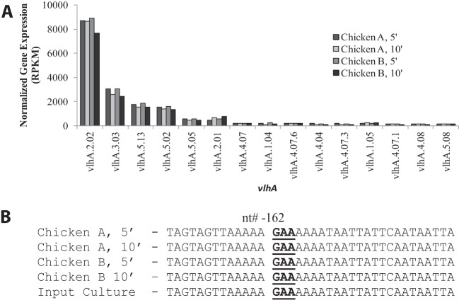 FIG 3