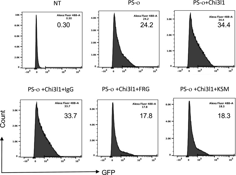 Figure 7.