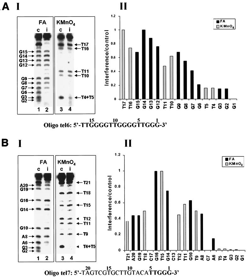 FIG. 6