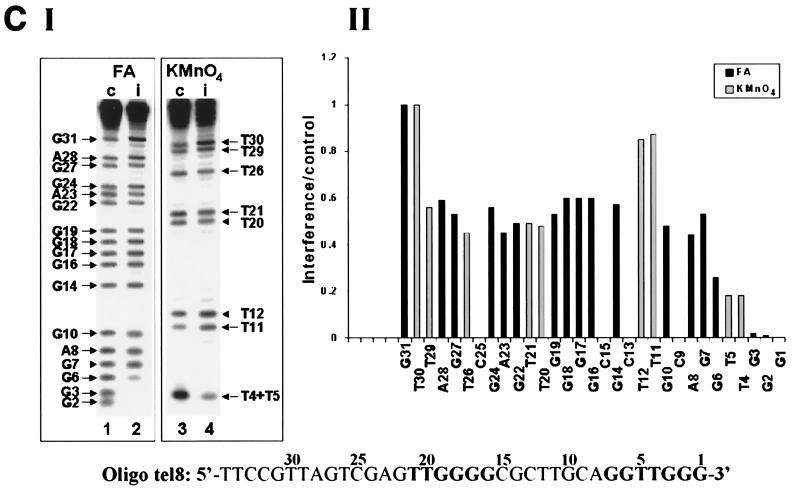 FIG. 6