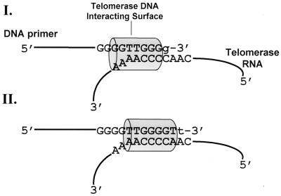 FIG. 9