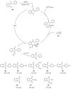 Scheme 31