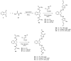 Scheme 6