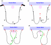 Figure 21