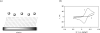 Figure 3.5