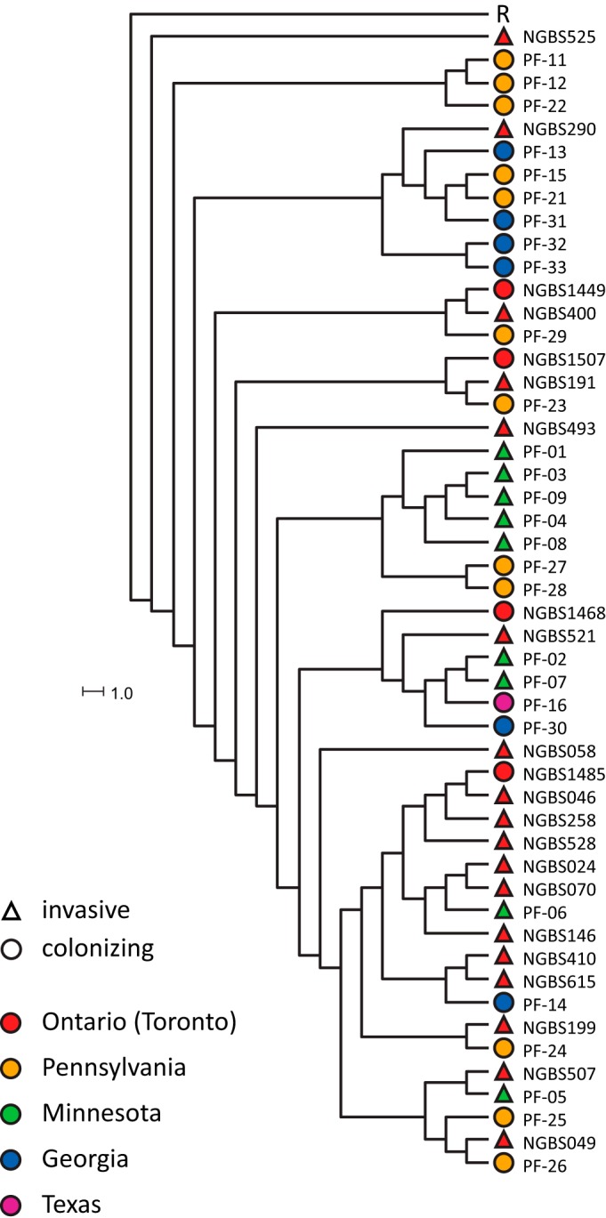 FIG 2