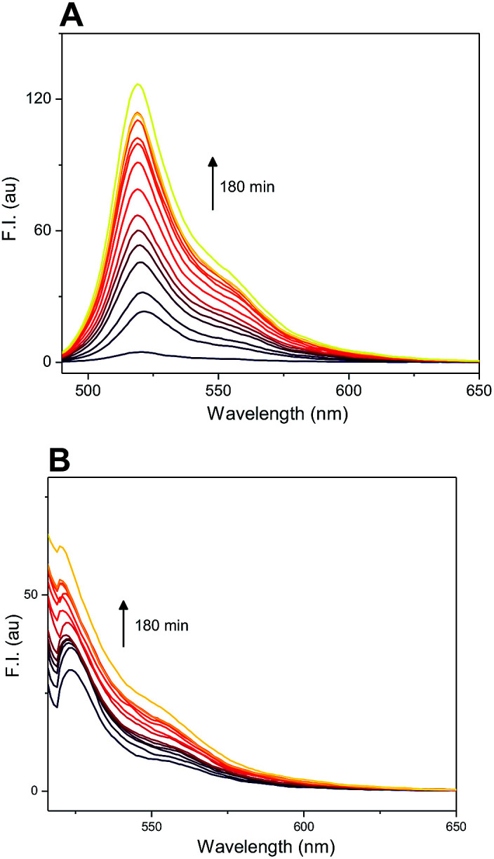 Fig. 7