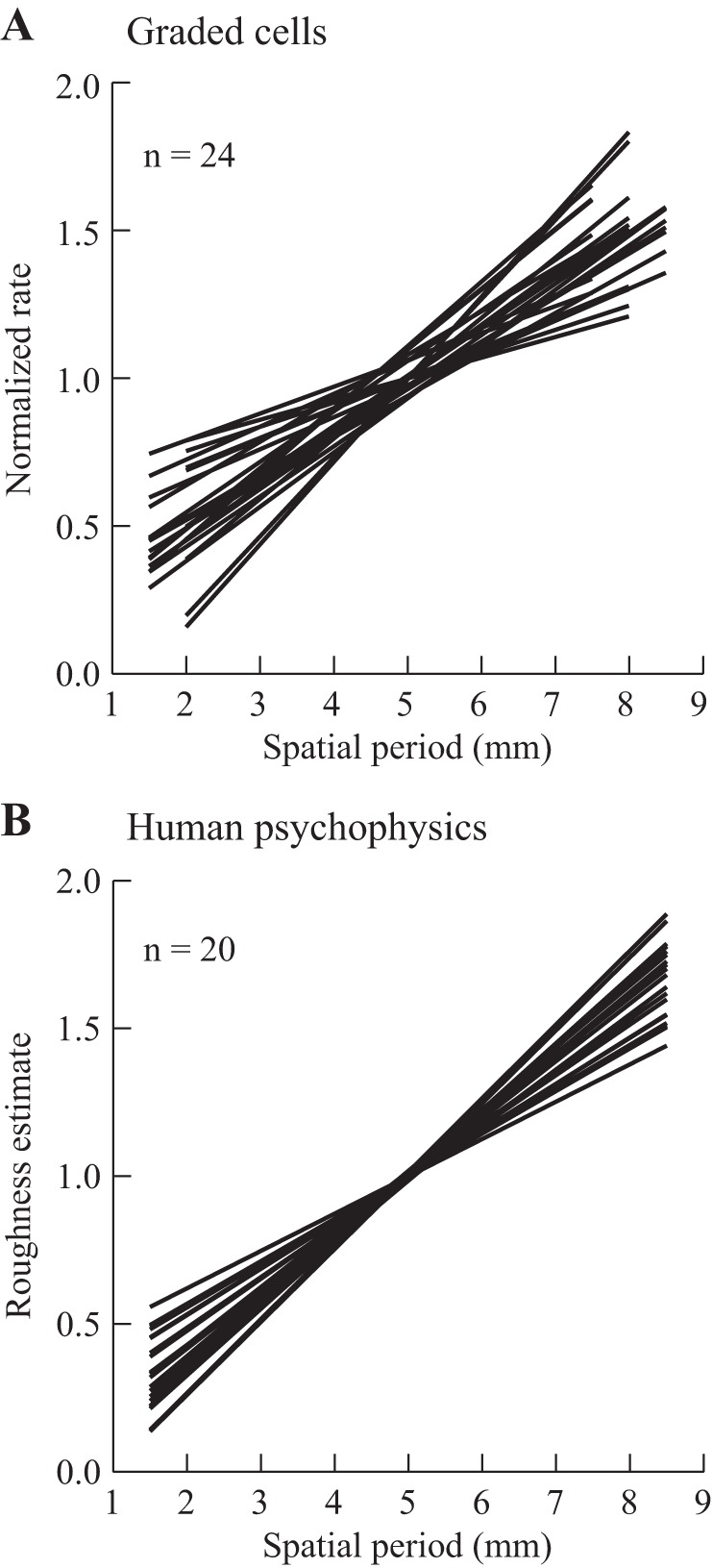 Fig. 10.