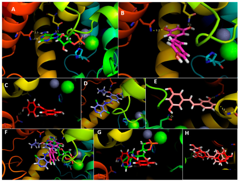 Figure 4