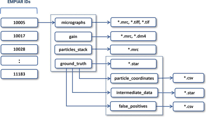 Fig. 10