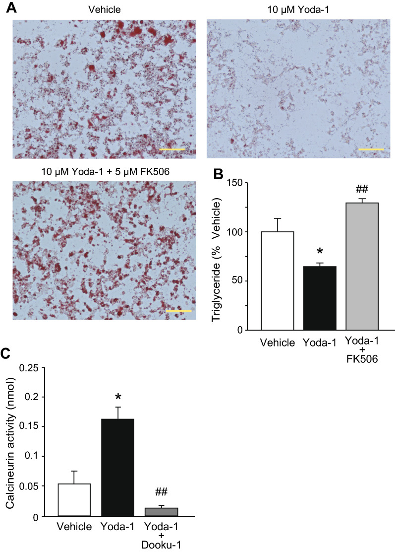 Fig. 7