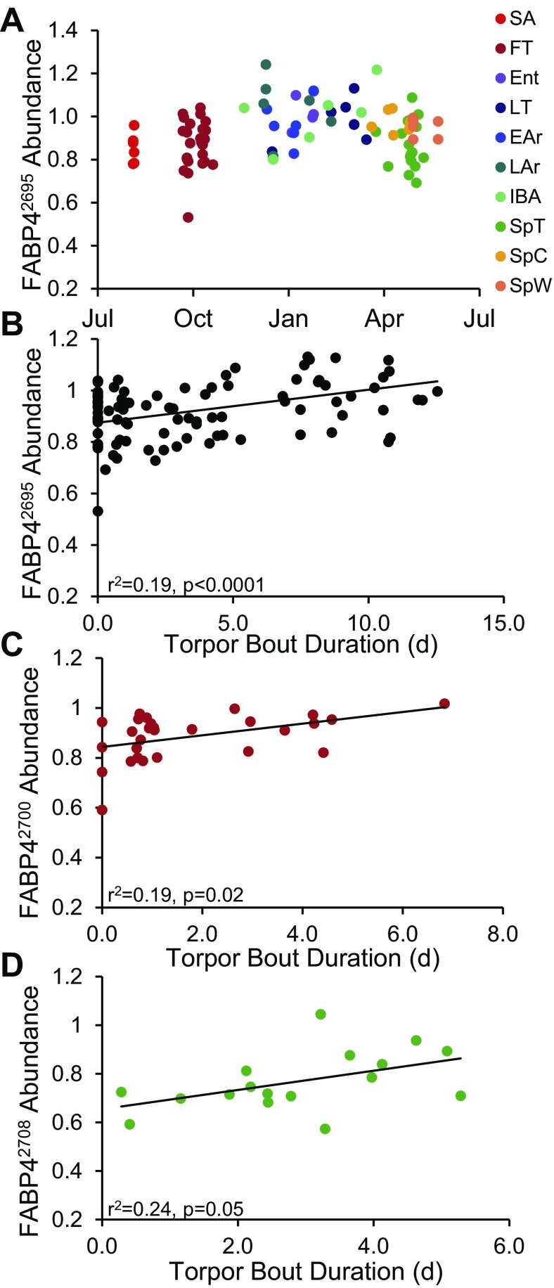 Fig. 9.