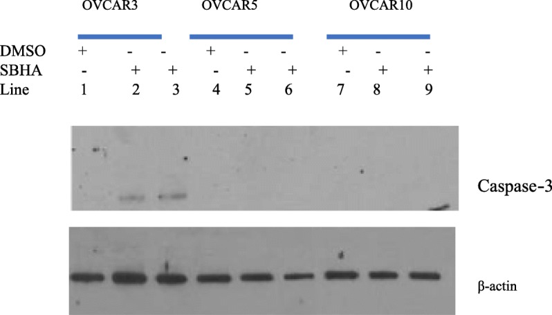 Fig. 11