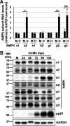 FIG 3